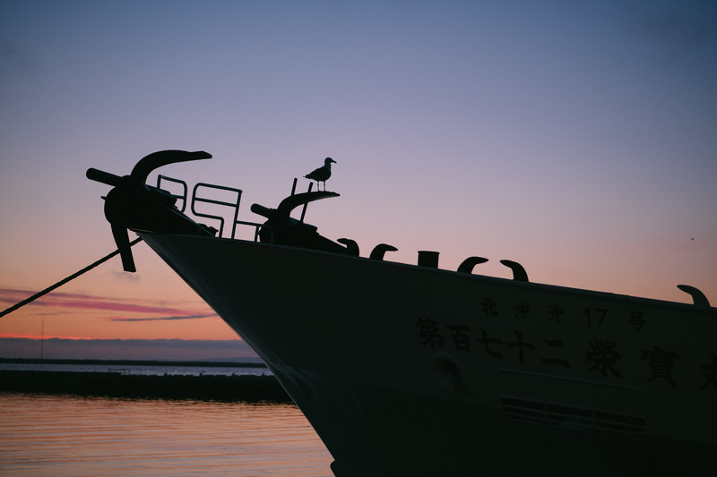漁船とカモメの夜明け画像
