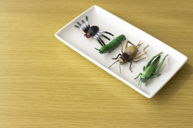 お皿にのっている昆虫たちの画像