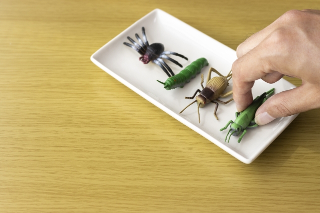 昆虫を食べる画像